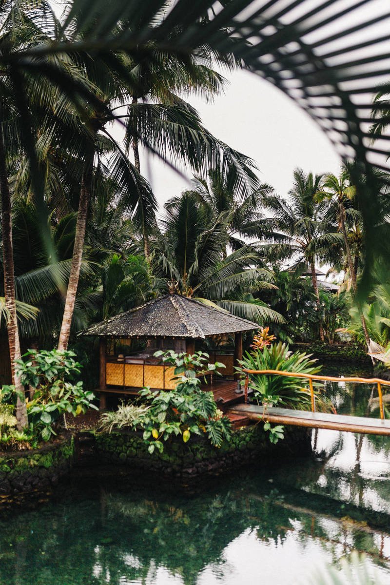 Why Apple Should Skip The MacBook Pro Launch